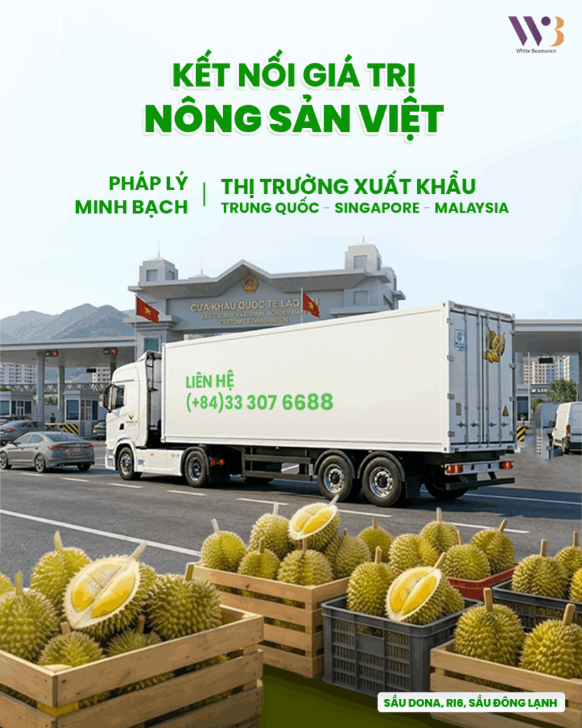 xuất khẩu sầu riêng tươi