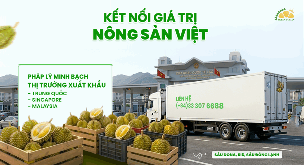 xuất khẩu sầu riêng