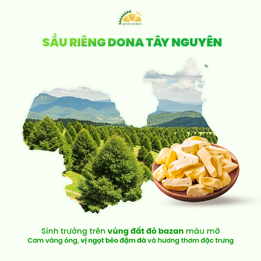 sầu riêng sấy thăng hoa dona queen durian